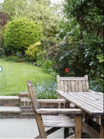 An image of a backyard as seen through the eyes of a human.